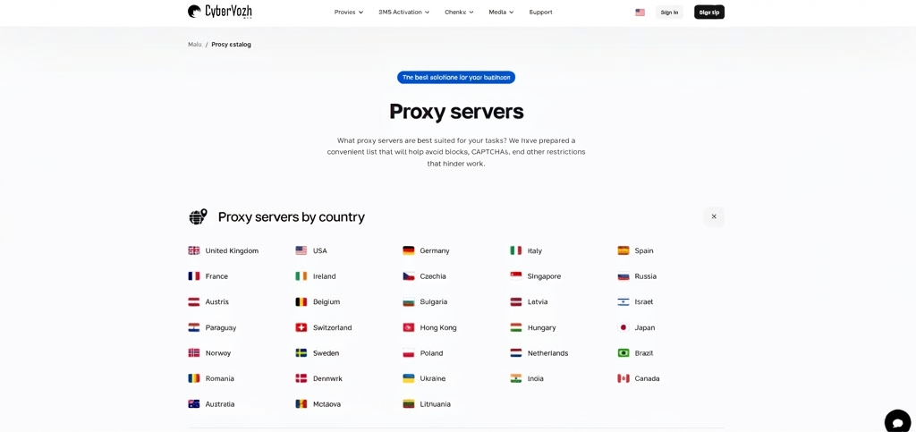 CyberYozh proxy service
