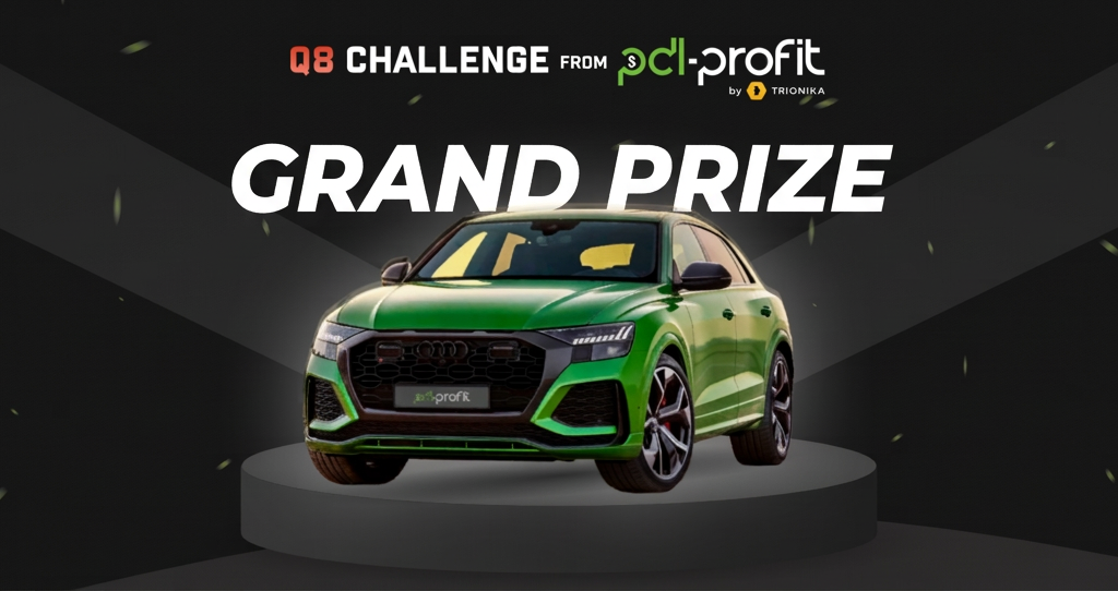 PDL-Profit Contest