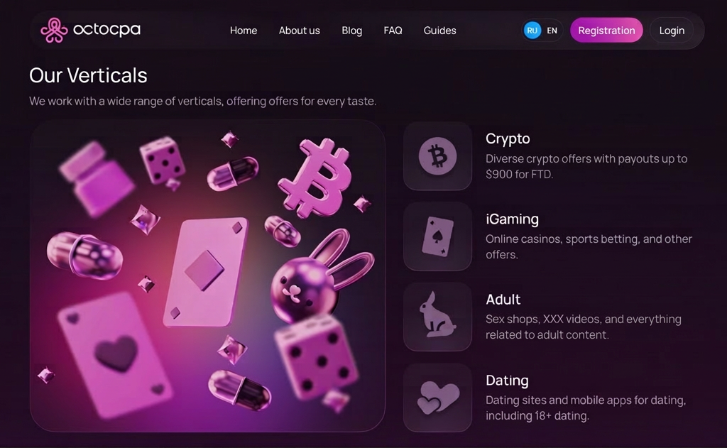 OctoCPA Offers